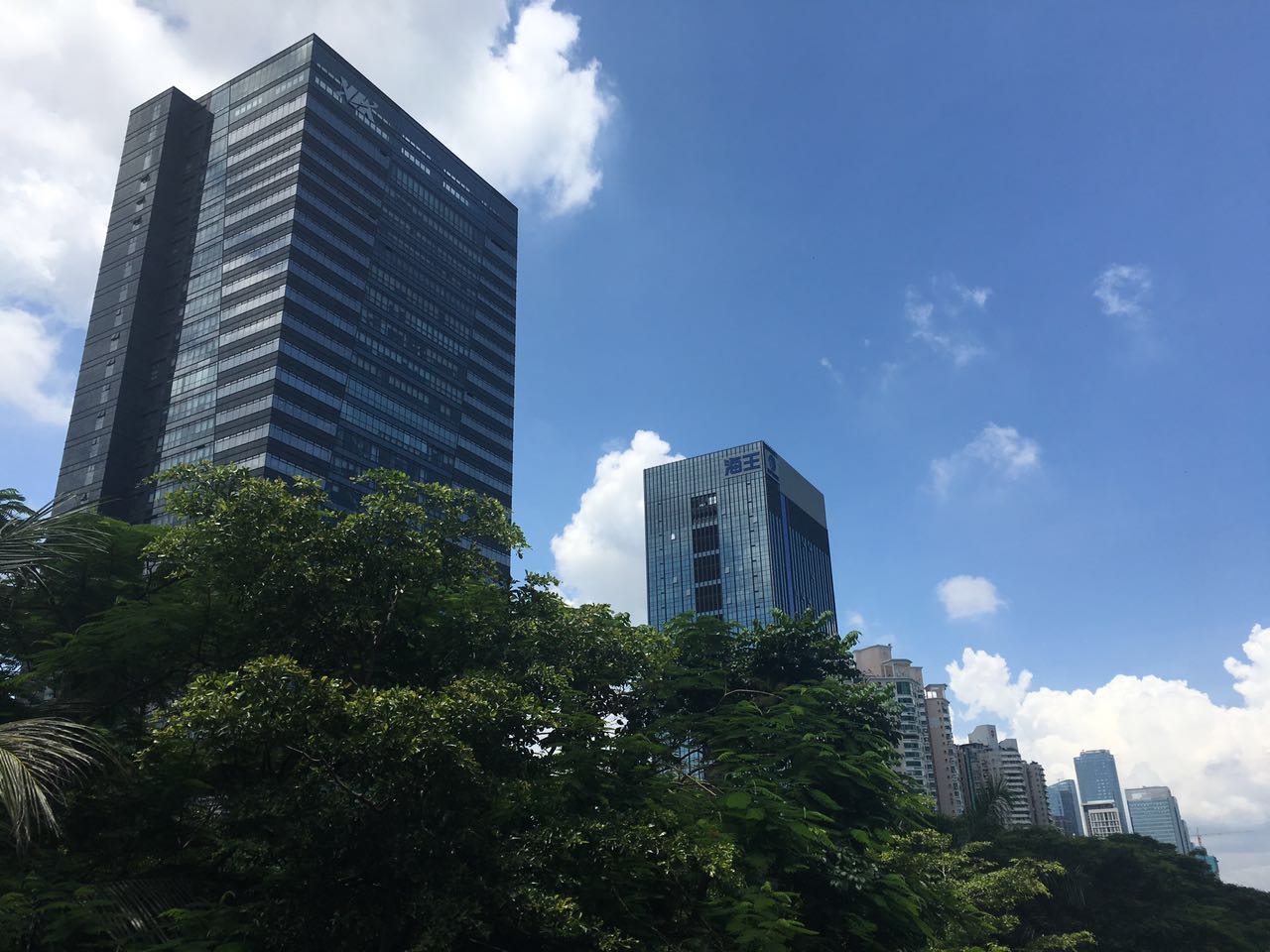 butterflies-are-gross