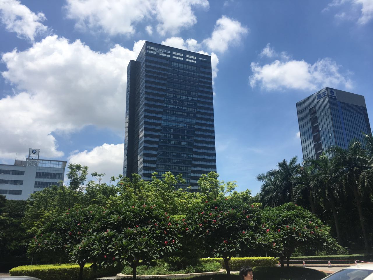 butterflies-are-gross