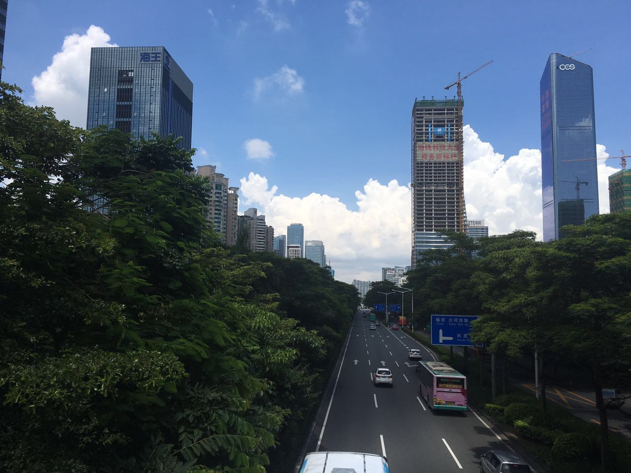 butterflies-are-gross